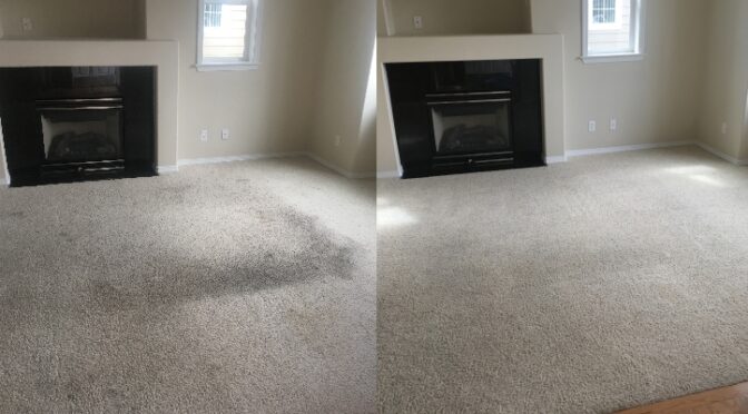 Rental Carpet Recovery