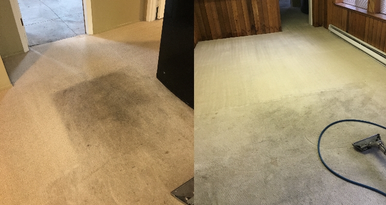 Dingy Dirty Carpets