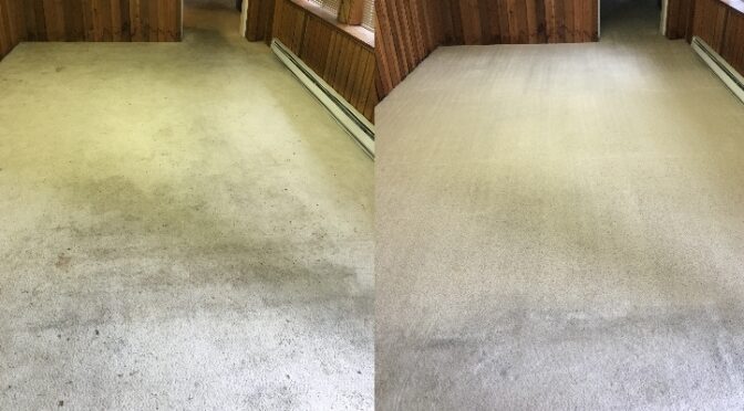 Dingy Dirty Carpets Continued