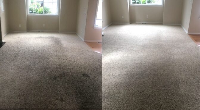 Rental Carpet Recovery Continued